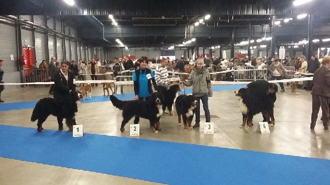 Des Gardiens d'Oleron - Belle victoire sur la vie pour Lunik des Gardiens d'Oléron