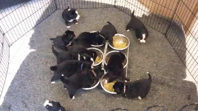 Des Gardiens d'Oleron - Premier vrai repas...en famille...