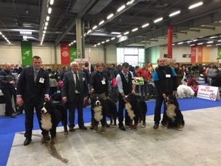 Des Gardiens d'Oleron - PARIS DOG SHOW ...Que des Excellents !!!!