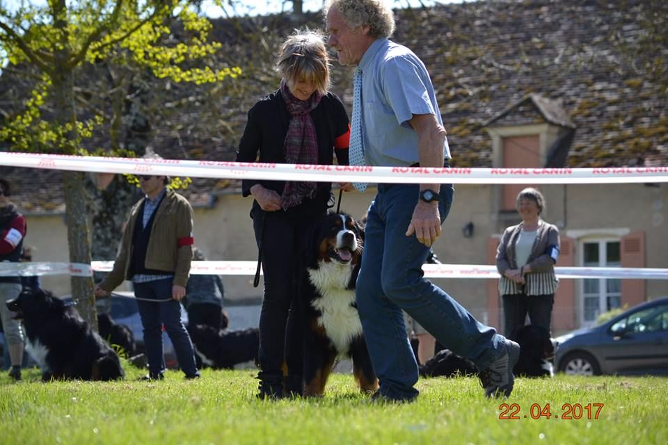 Des Gardiens d'Oleron - Regionale d'élevage region centre 22/23/04/2017