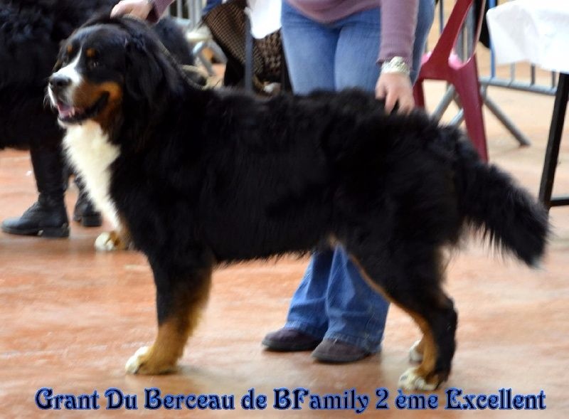 Grant du berceau de bfamily